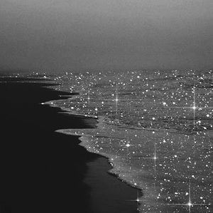 Meet your Posher, Nora